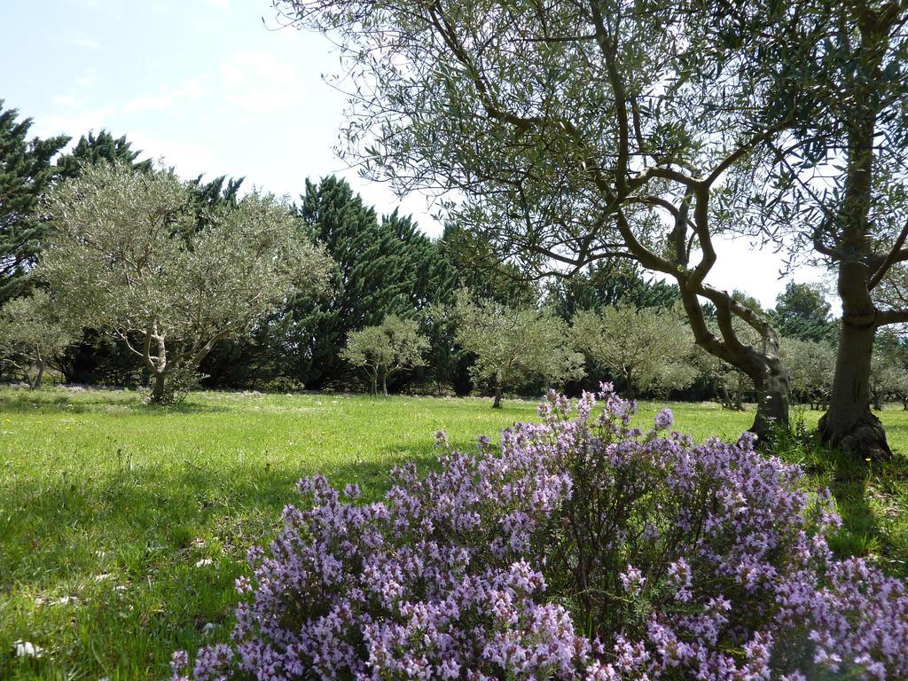 مبيت وإفطار Puget Les Mazets Du Luberon المظهر الخارجي الصورة